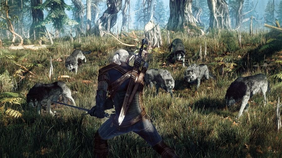 Скриншот из игры The Witcher 3: Wild Hunt - 25