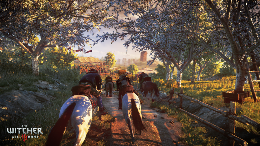 Скриншот из игры The Witcher 3: Wild Hunt - 26
