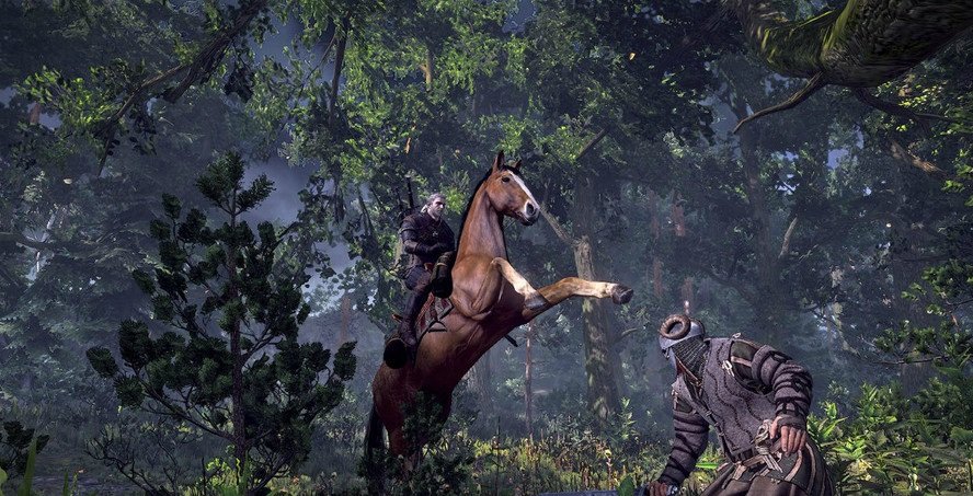 Скриншот из игры The Witcher 3: Wild Hunt - 31