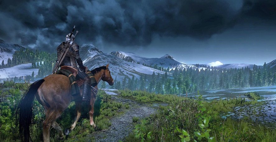 Скриншот из игры The Witcher 3: Wild Hunt - 35