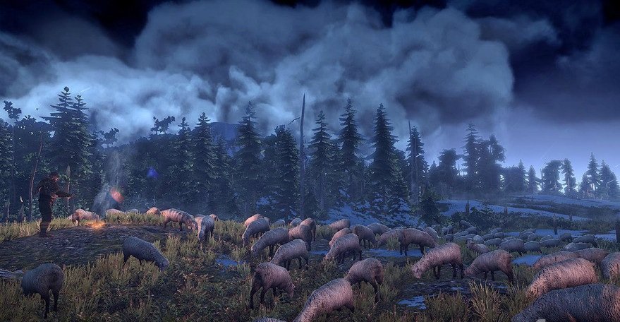 Скриншот из игры The Witcher 3: Wild Hunt - 38