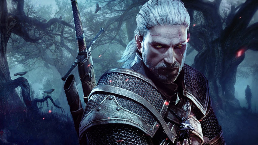 Скриншот из игры The Witcher 3: Wild Hunt - 57