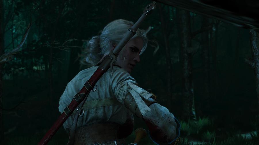 Скриншот из игры The Witcher 3: Wild Hunt - 62