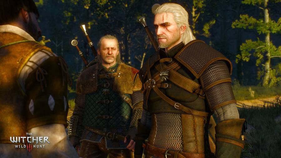 Скриншот из игры The Witcher 3: Wild Hunt - 67
