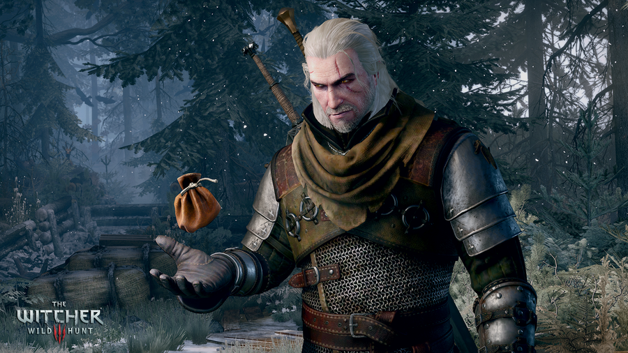 Скриншот из игры The Witcher 3: Wild Hunt - 70