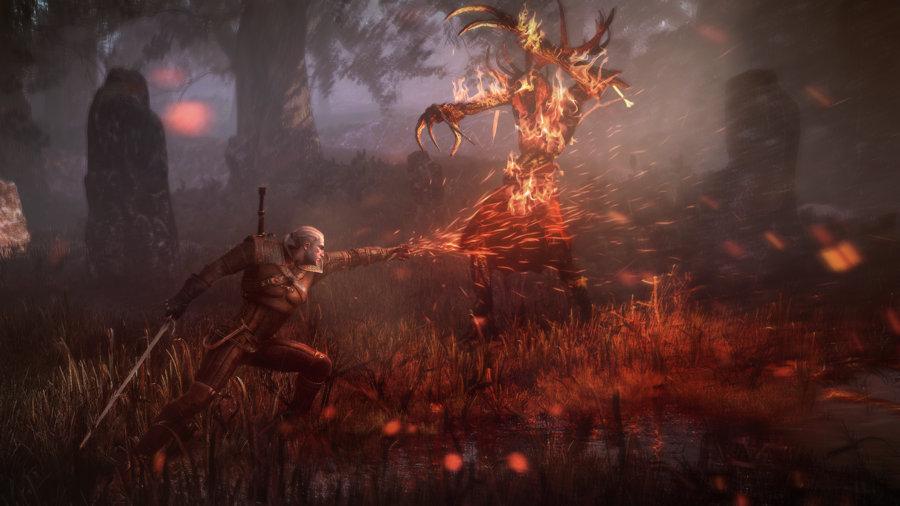 Скриншот из игры The Witcher 3: Wild Hunt - 8