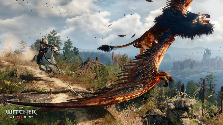 Скриншот из игры The Witcher 3: Wild Hunt - 77