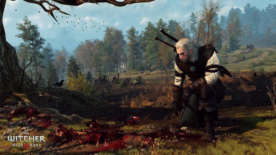 Скриншот из игры The Witcher 3: Wild Hunt - 78