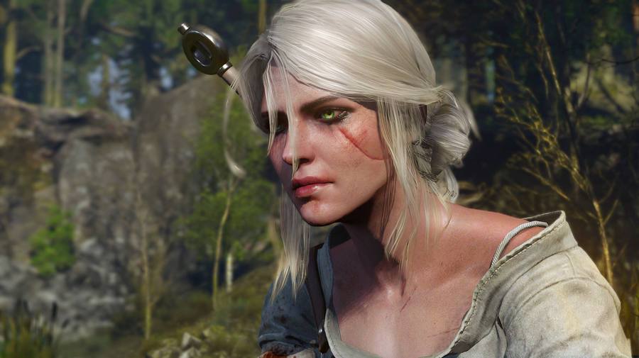 Скриншот из игры The Witcher 3: Wild Hunt - 80