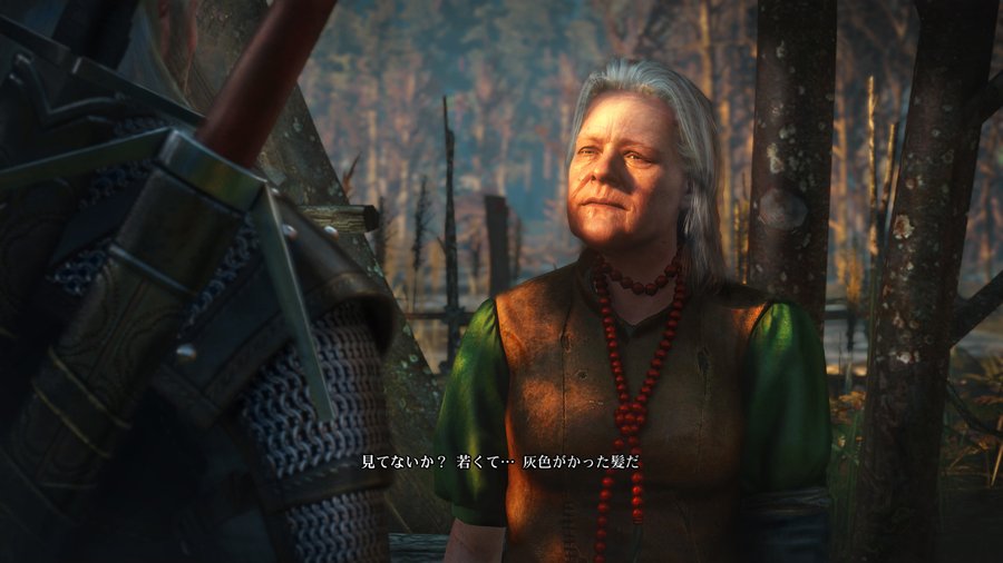 Скриншот из игры The Witcher 3: Wild Hunt - 84