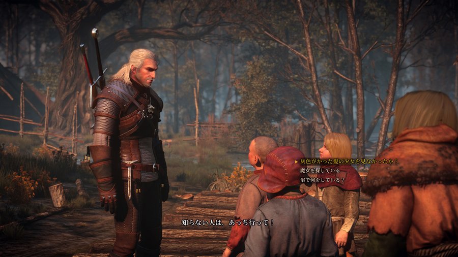 Скриншот из игры The Witcher 3: Wild Hunt - 85