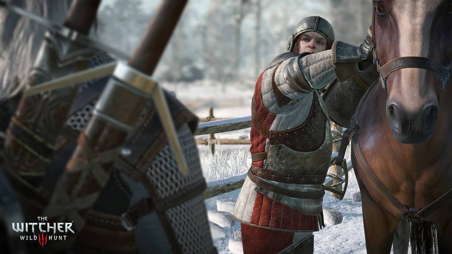 Скриншот из игры The Witcher 3: Wild Hunt - 88