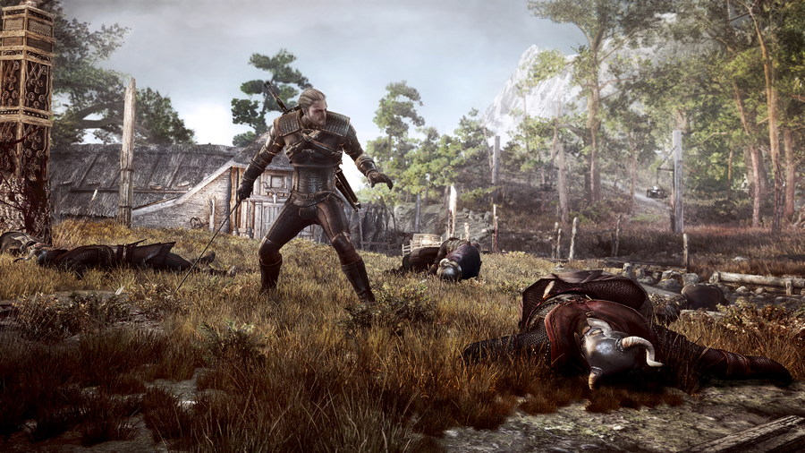 Скриншот из игры The Witcher 3: Wild Hunt - 10
