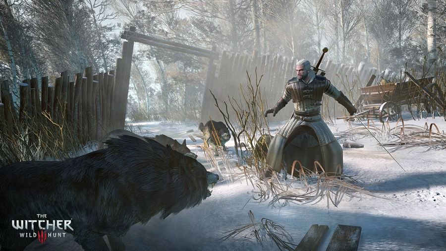 Скриншот из игры The Witcher 3: Wild Hunt - 91