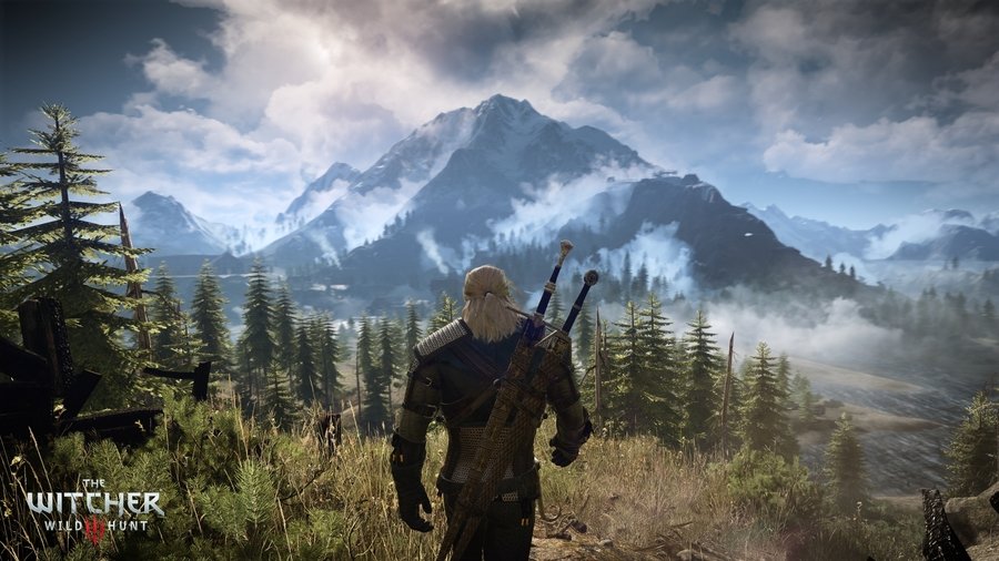 Скриншот из игры The Witcher 3: Wild Hunt - 92