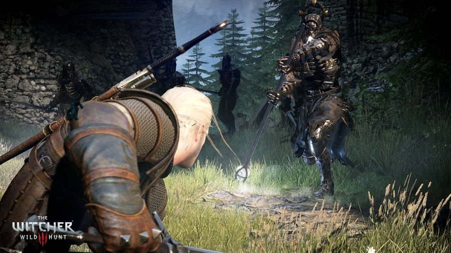Скриншот из игры The Witcher 3: Wild Hunt - 96