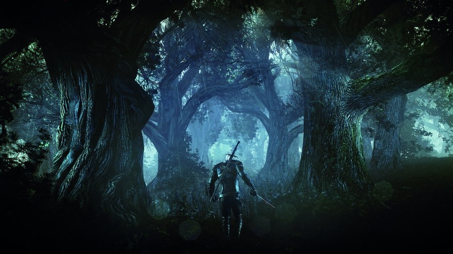 Скриншот из игры The Witcher 3: Wild Hunt - 99