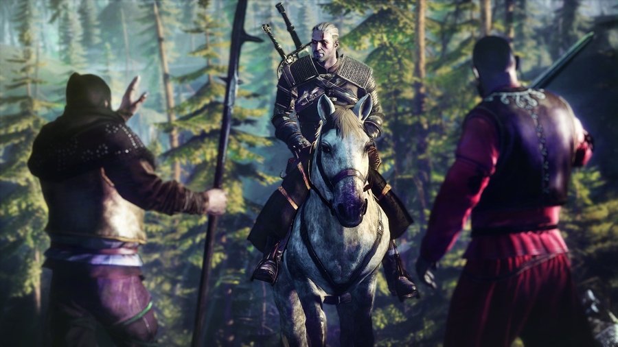 Скриншот из игры The Witcher 3: Wild Hunt - 100