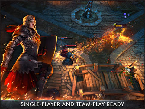 Скриншот из игры The Witcher Battle Arena - 15