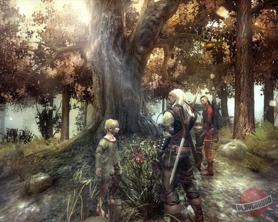 Скриншот из игры The Witcher - 82