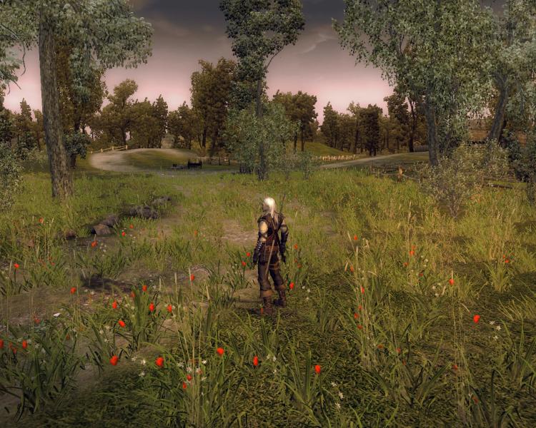 Скриншот из игры The Witcher - 73
