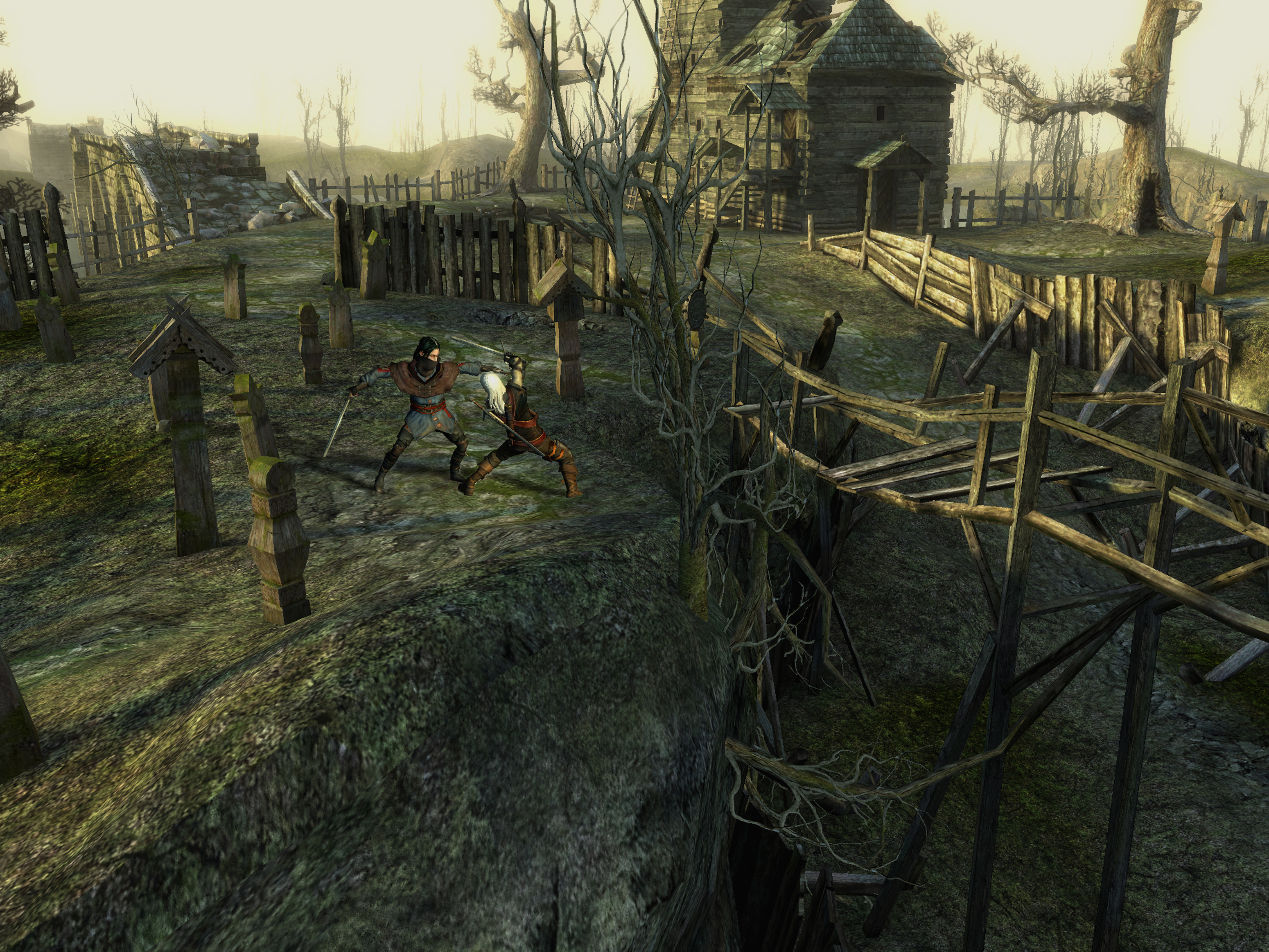 Скриншот из игры The Witcher - 186