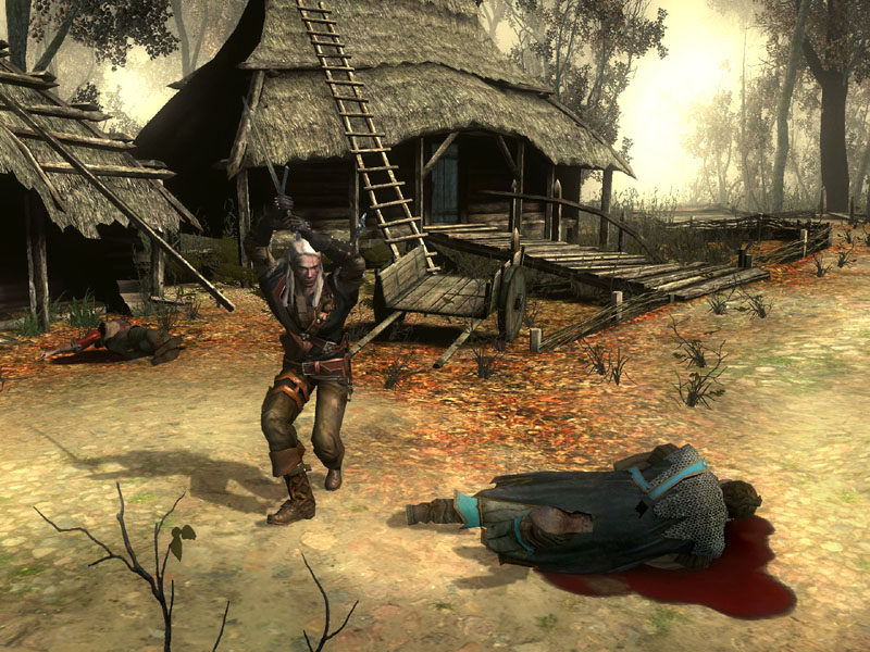 Скриншот из игры The Witcher - 148