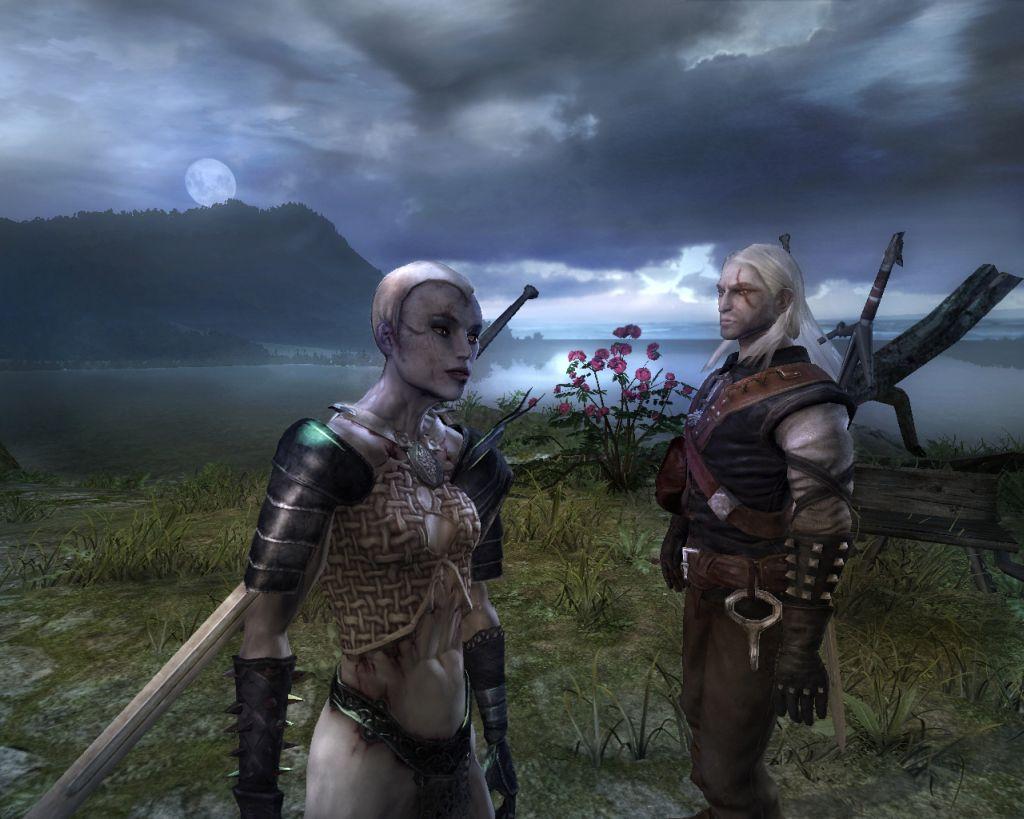 Скриншот из игры The Witcher - 204