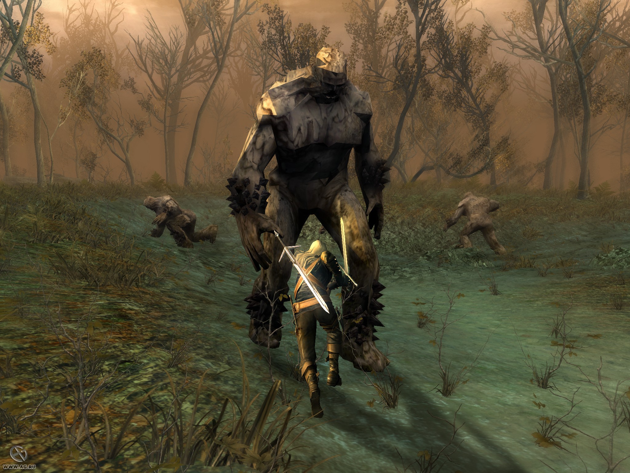 Скриншот из игры The Witcher - 181