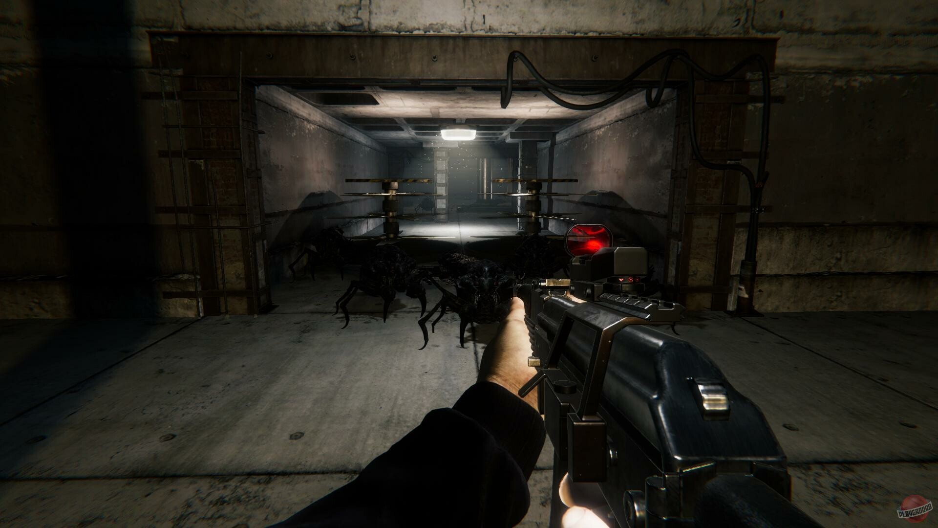 Скриншот из игры Roach Race - 8