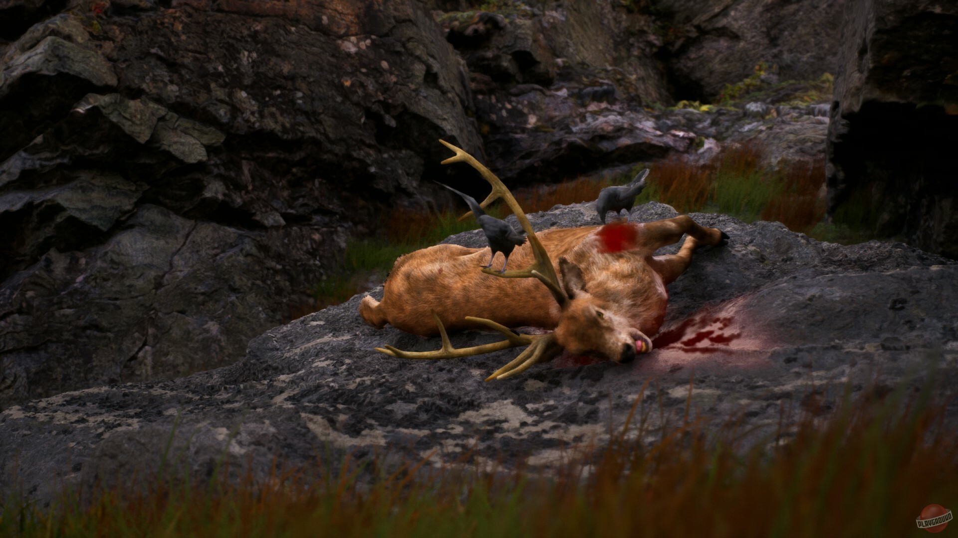 Скриншот из игры Once Alive - 21