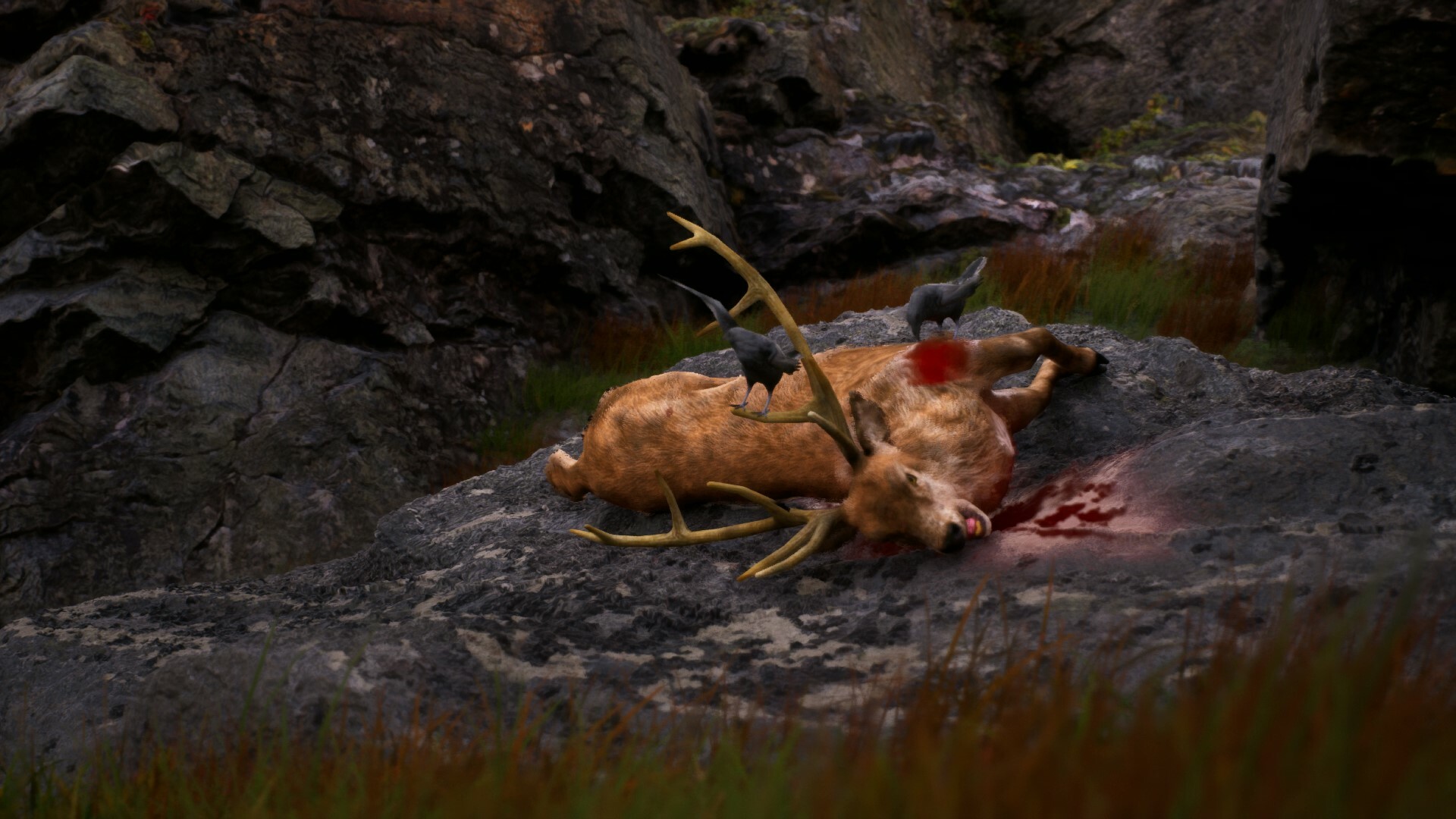 Скриншот из игры Once Alive - 1