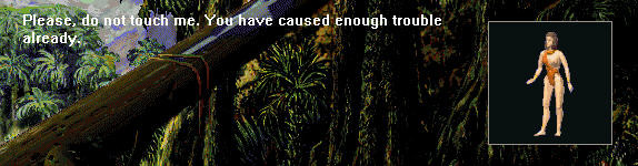 Скриншот из игры Bermuda Syndrome - 13