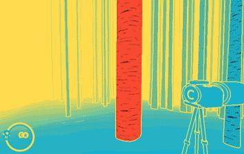 Скриншот из игры NUTS - 50