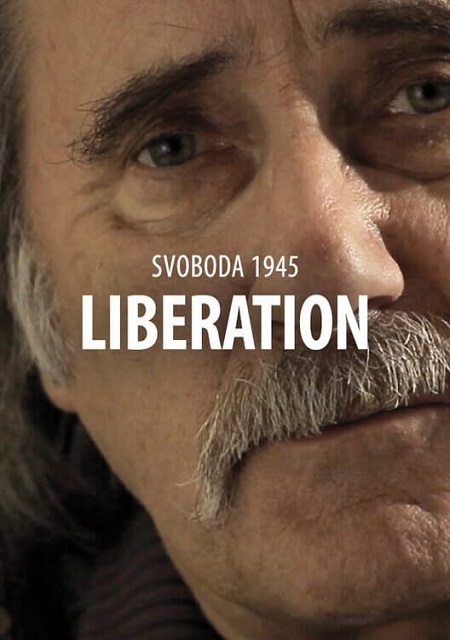 Обложка игры Svoboda 1945: Liberation