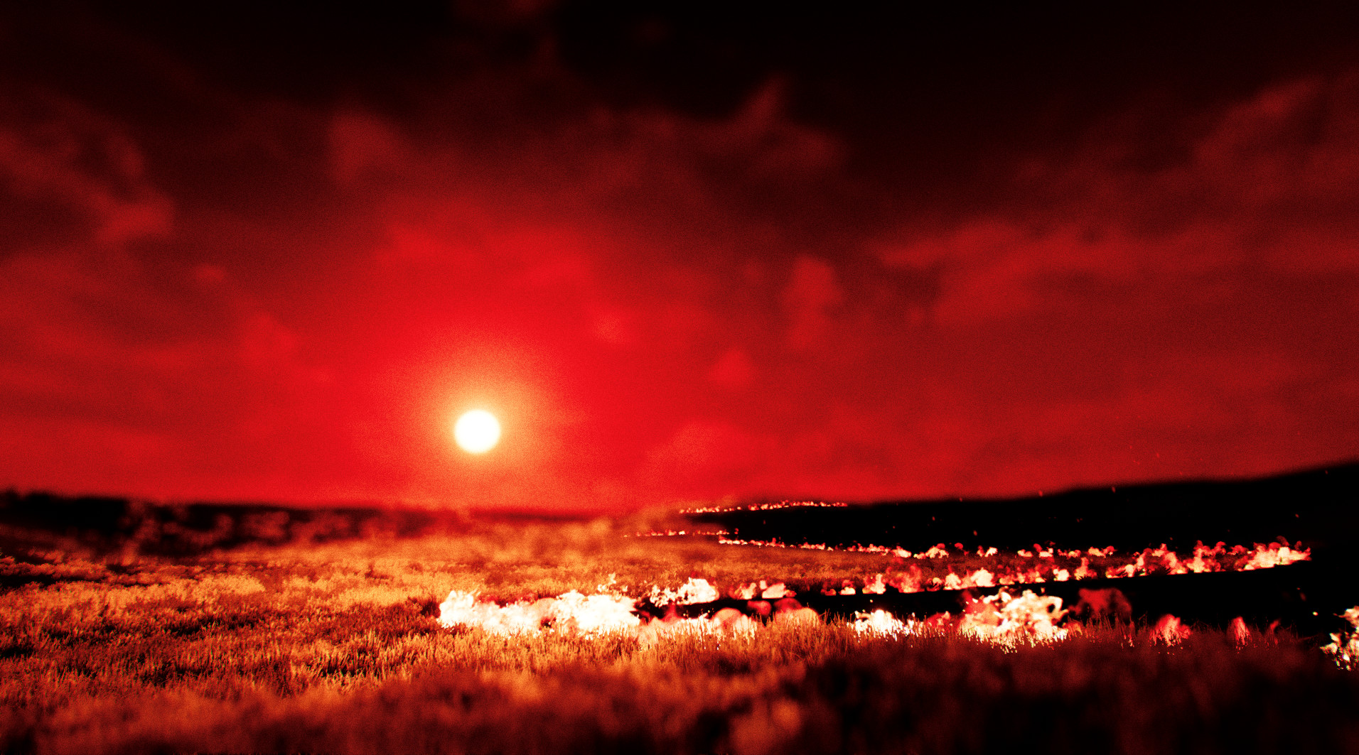 Скриншот из игры Ling - 14