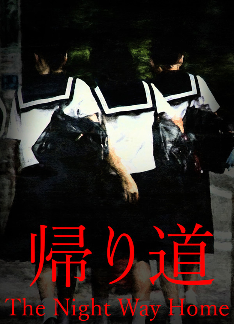 Обложка игры The Night Way Home