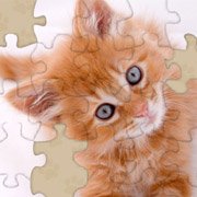 Обложка игры Adorable Kitten Jigsaw Puzzle