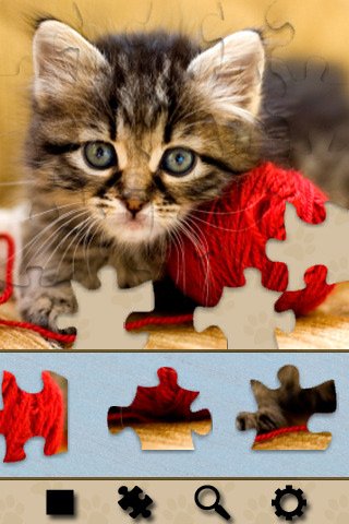 Скриншот из игры Adorable Kitten Jigsaw Puzzle - 5