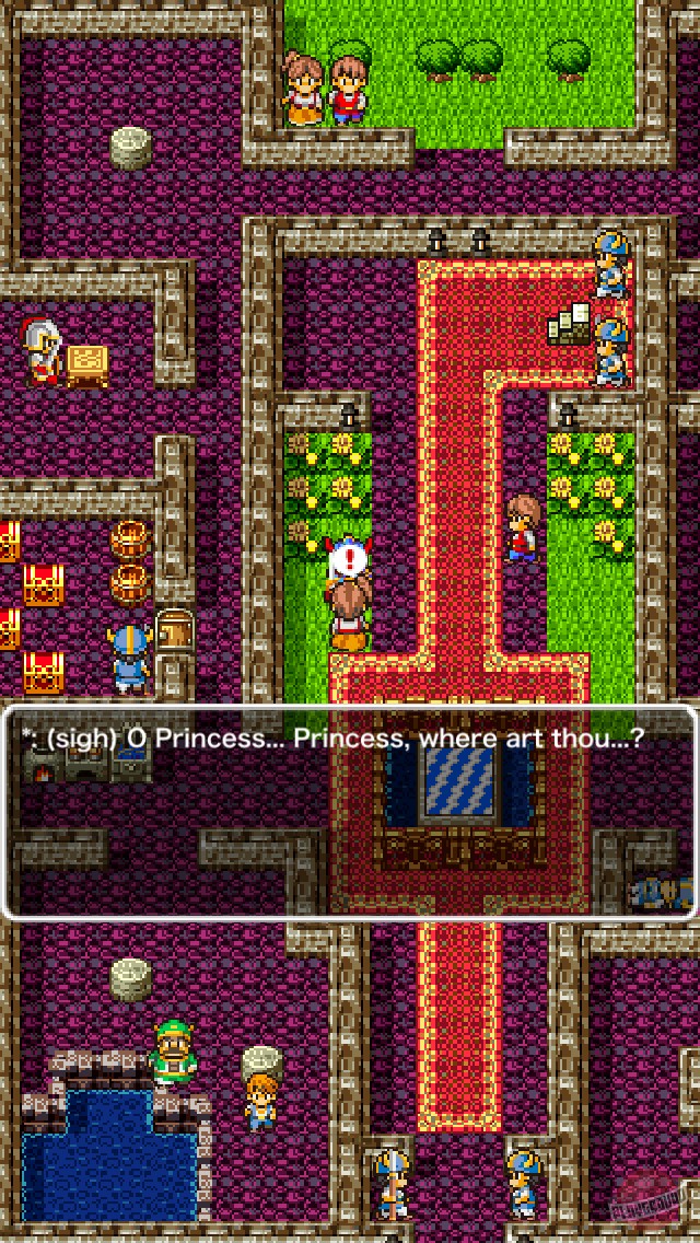 Скриншот из игры Dragon Warrior - 9