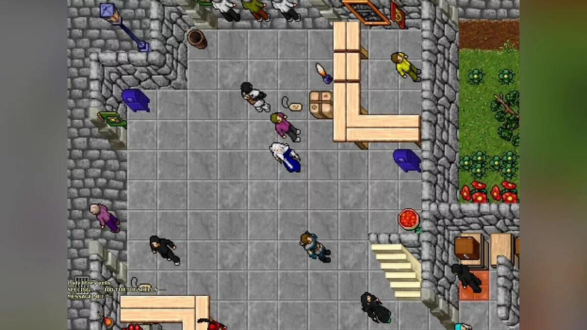 Скриншот из игры Tibia - 26