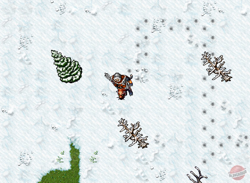 Скриншот из игры Tibia - 17