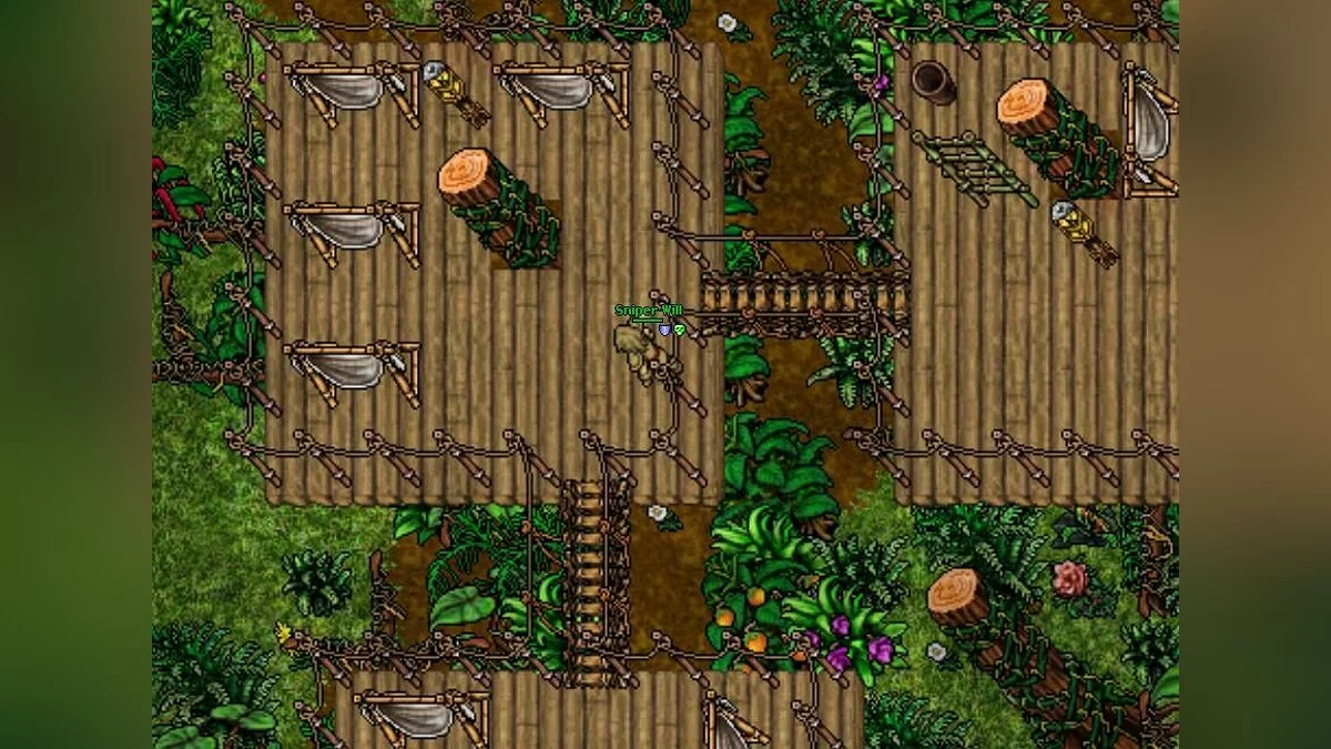 Скриншот из игры Tibia - 16