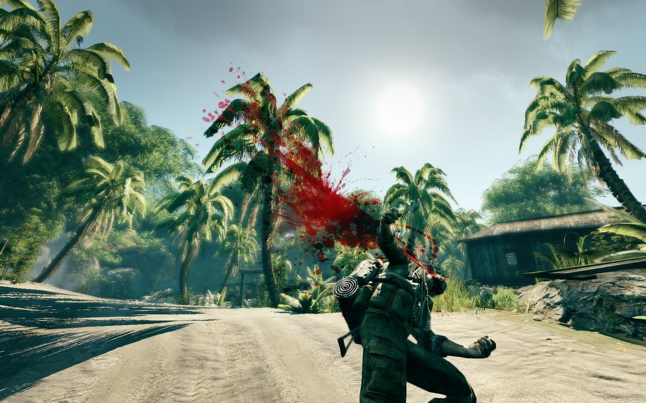 Скриншот из игры Sniper: Ghost Warrior - 55