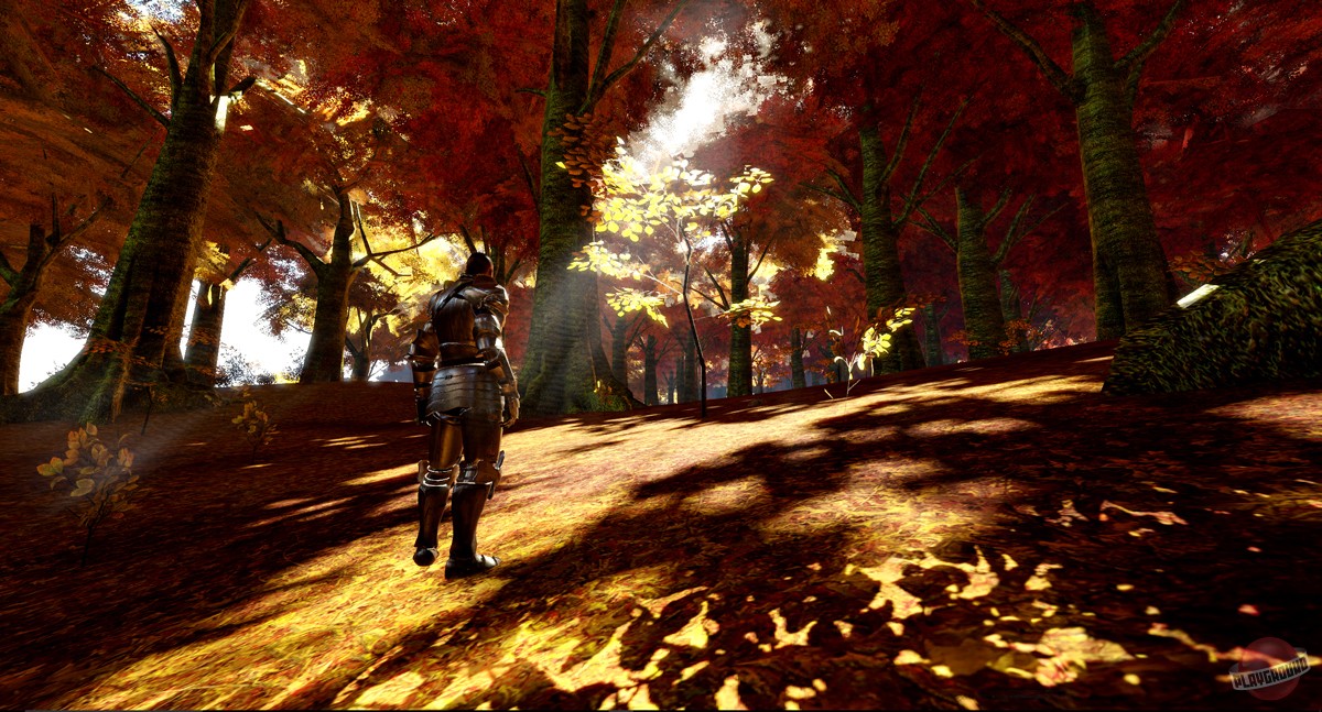 Скриншот из игры Camelot Unchained - 13