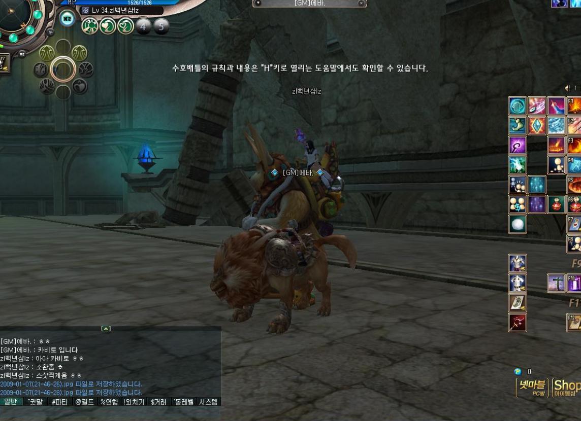 Скриншот из игры Ys Online: The Call of Solum - 107