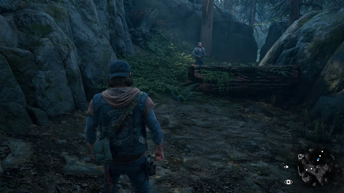 Скриншот из игры Days Gone: Remastered - 6