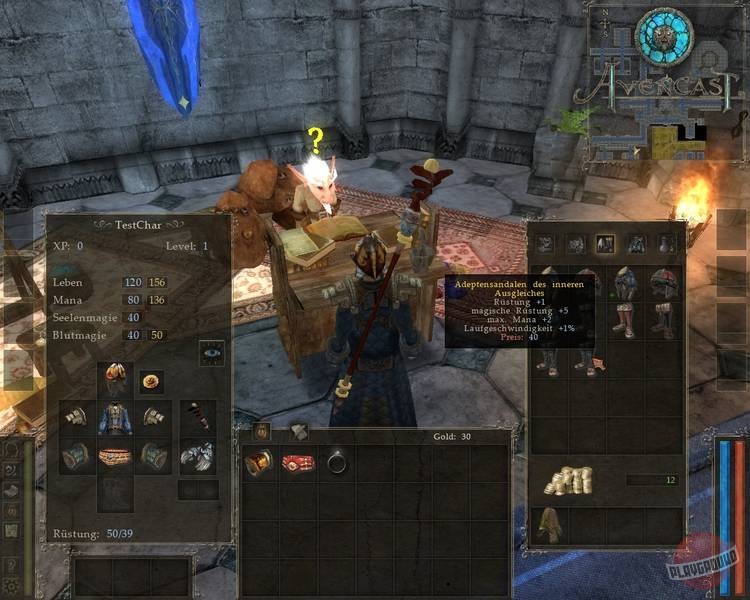 Скриншот из игры Avencast: Rise of the Mage - 14