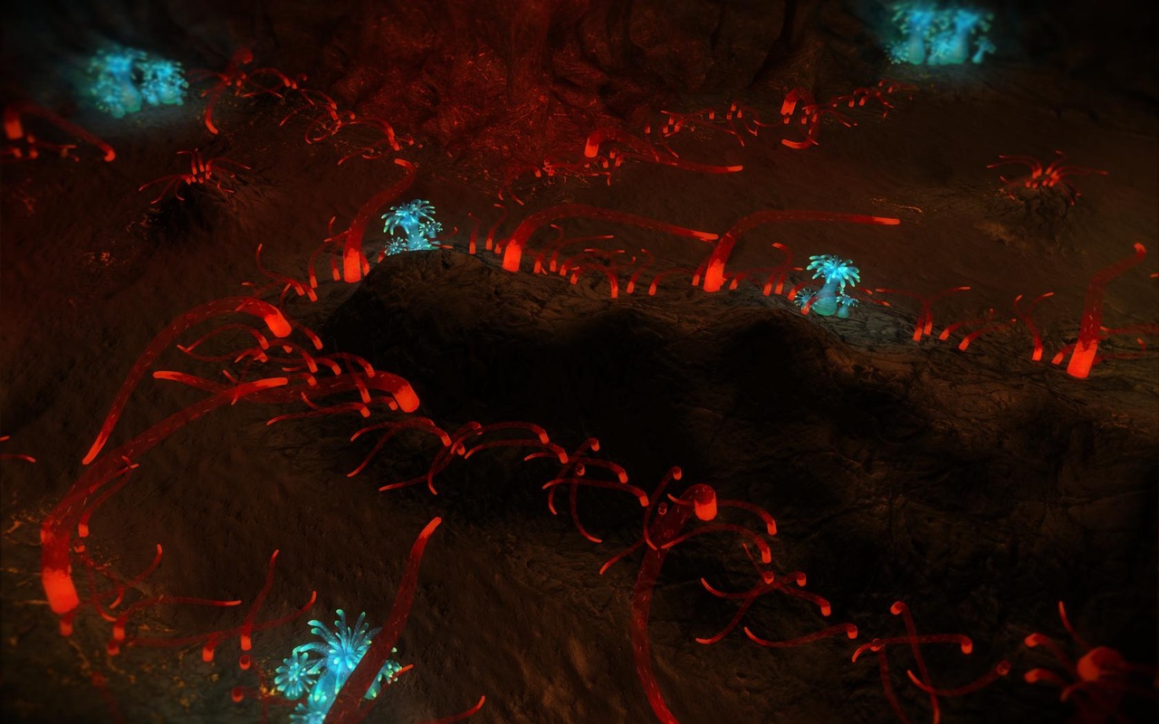 Скриншот из игры Greed: Black Border - 69