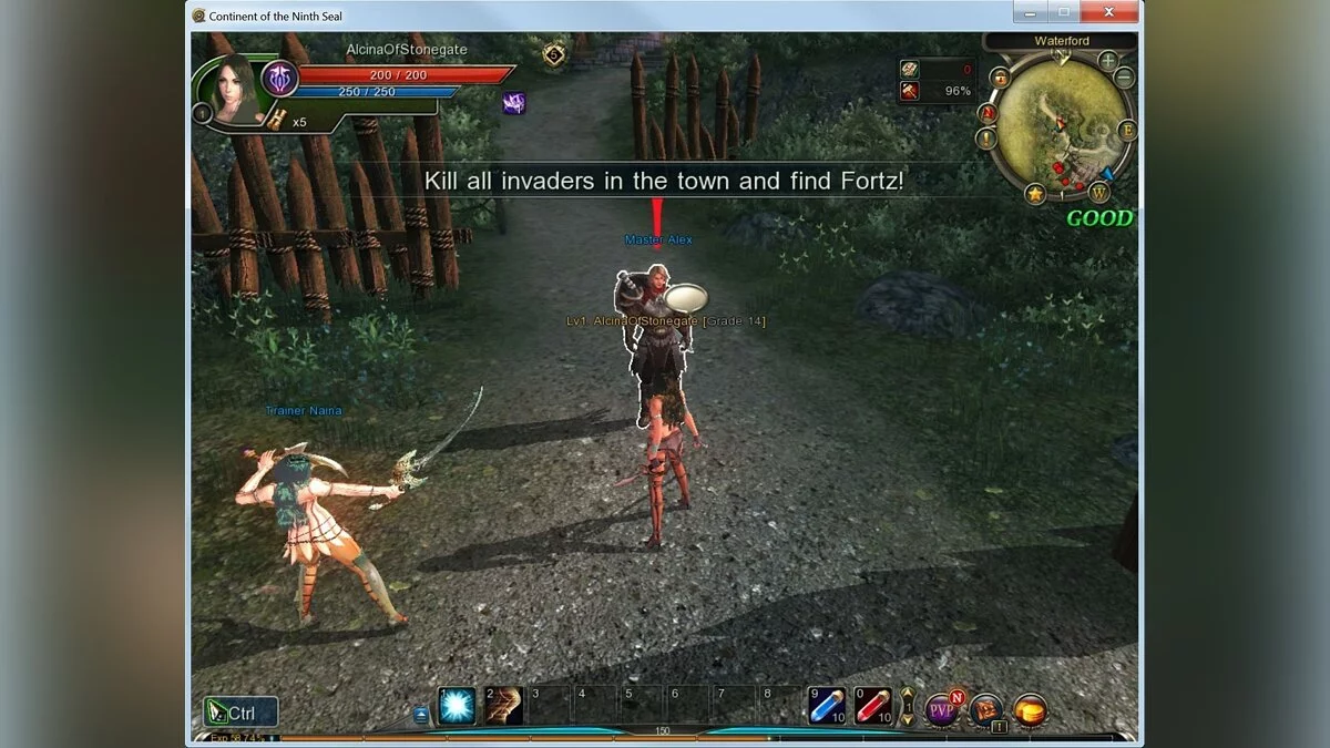 Скриншот из игры Continent of the Ninth Seal - 3